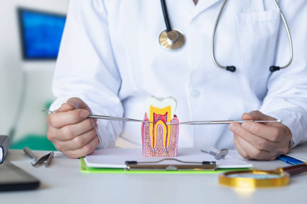 Best Emergency TMJ Treatment in Tremont, PA